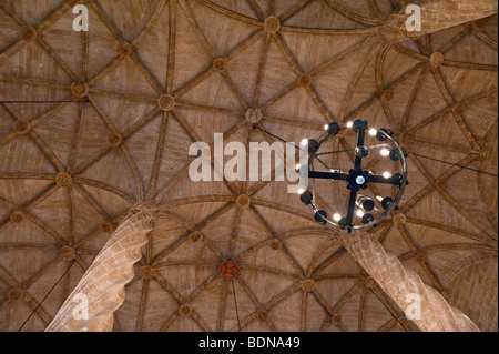 Plafond de La Llotja de la soie, Valence Banque D'Images