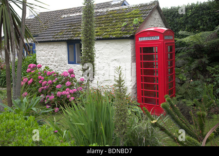 La couleur rouge vif phone box Banque D'Images