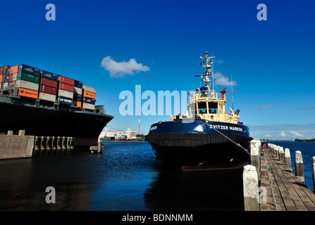 D'énormes porte-conteneurs de NYK line dans le port d'IJmuiden, Hollande, Europe Banque D'Images