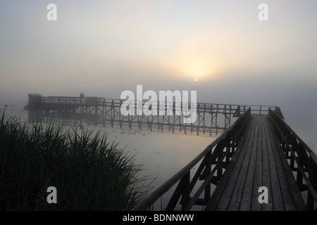 Lever du soleil vu de la jetée du lac Federsee Federsee, près de Bad Buchau, réserve naturelle, district de Biberach, en Haute Souabe, Baden-W Banque D'Images