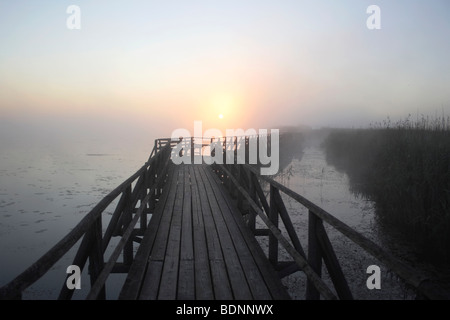 Lever du soleil vu de la jetée du lac Federsee Federsee, près de Bad Buchau, réserve naturelle, district de Biberach, en Haute Souabe, Baden-W Banque D'Images