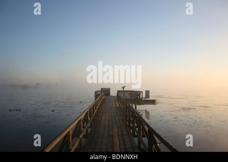 À la fin de la jetée de Federsee, près de Bad Buchau Federsee, réserve naturelle en Haute Souabe, Bade-Wurtemberg, Allemagne, Europe Banque D'Images