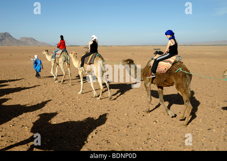 Touristes européens ou occidentaux en Camel Ride ou Camel Riding dans le désert du Sahara près de Zagora, Maroc Banque D'Images