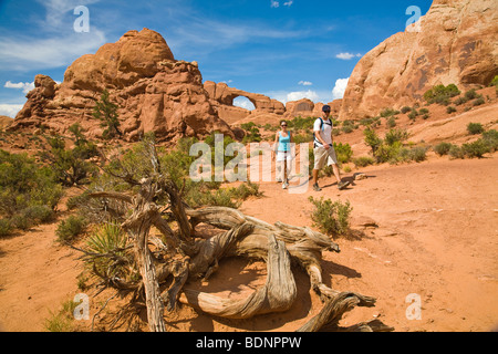 Skyline Arch dans Arches National Park, Moab, Utah, United States Banque D'Images