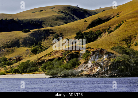 L'une des nombreuses îles de Komodo, le Parc National de Komodo, en Indonésie, en Asie du sud-est Banque D'Images