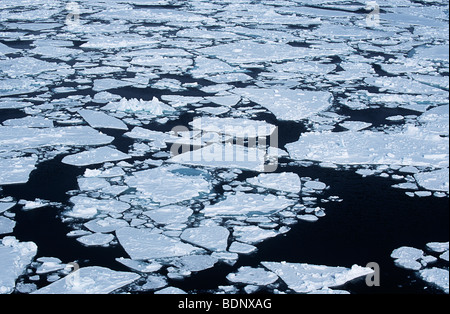 L'antarctique, mer de Weddell, banquise Banque D'Images