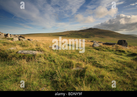 Oui Tor (619 mètres), l'un des plus hauts sommets du Dartmoor, vu de l'West Mill, Dartmoor, dans le Devon, England, UK Banque D'Images