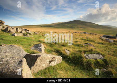 Oui Tor (619 mètres), l'un des plus hauts sommets du Dartmoor, vu de l'West Mill, Dartmoor, dans le Devon, England, UK Banque D'Images