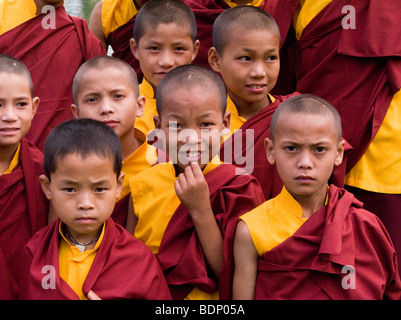 Un groupe de moines bouddhistes novice garçon à Rewalsar. Rewalsar. L'Himachal Pradesh. L'Inde. Banque D'Images