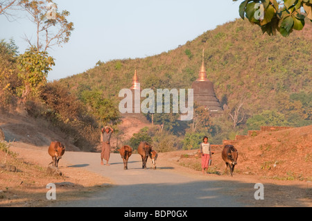 Scène de rue sur la route de terre typique dans l'ouest de la Birmanie parmi les nombreux temples près de Mrauk U nord de Sittwe à Mrauk U, Rakhin Banque D'Images