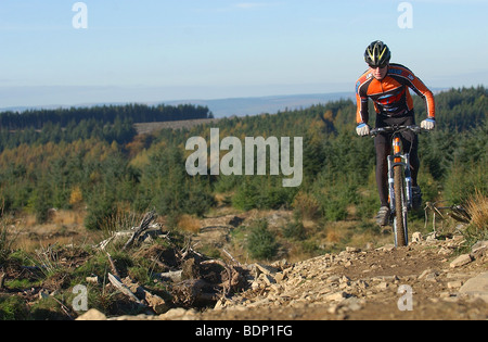 Un cross-country de vélo de montagne grimpe un sentier rocheux à Cwmcarn, dans le sud du Pays de Galles. Banque D'Images