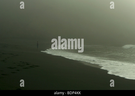 Une figure solitaire debout sur une plage en regardant la mer tha Banque D'Images