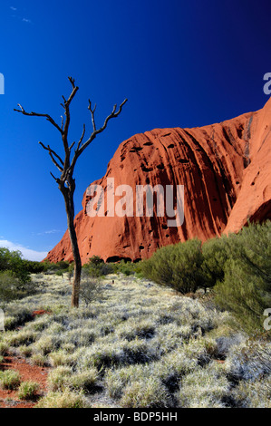 Ayers Rock, Uluru, détail, Territoire du Nord, Australie Banque D'Images