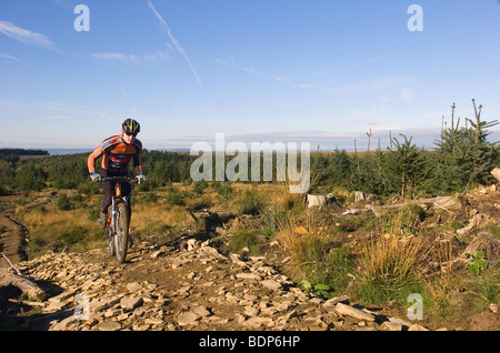 Un cross-country de vélo de montagne grimpe un sentier rocheux à Cwmcarn, dans le sud du Pays de Galles. Banque D'Images