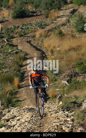 Un cross-country de vélo de montagne grimpe un sentier rocheux à Cwmcarn, dans le sud du Pays de Galles. Banque D'Images