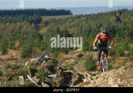 Un cross-country de vélo de montagne grimpe un sentier rocheux à Cwmcarn, dans le sud du Pays de Galles. Banque D'Images