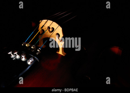 Close-up de violoncelle et cordes pont Banque D'Images