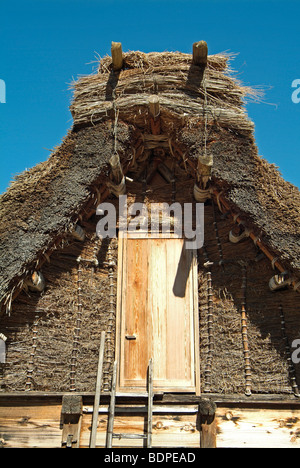 Ferme traditionnelle dans le style Gassho-zukuri. Village historique de Shirakawa-go. La préfecture de Gifu. Le Japon. Banque D'Images