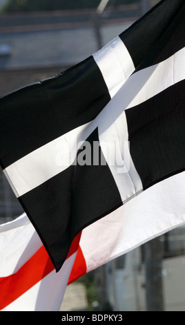 Drapeaux par la mer Banque D'Images