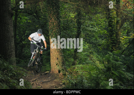 Un vélo de montagne saute par dessus les racines sur un sentier de Cwmcarn, Nouvelle-Galles du Sud Banque D'Images