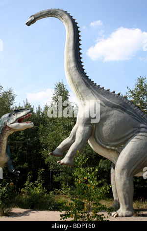 Le Diplodocus et Allosaurus, un parc préhistorique Nowiny), Pologne, 2009, réplique taille réelle Banque D'Images