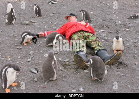 Homme avec manchots Îles Aitcho, Antarctique. Banque D'Images