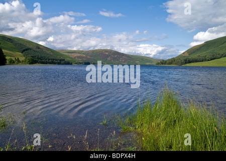 Saint Marys Loch, Yarrow Valley, Borders, Scotland, UK Banque D'Images