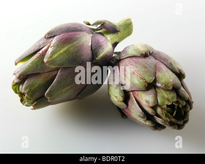 Artichauts frais (Cynara cardunculus) sur un fond blanc. Banque D'Images