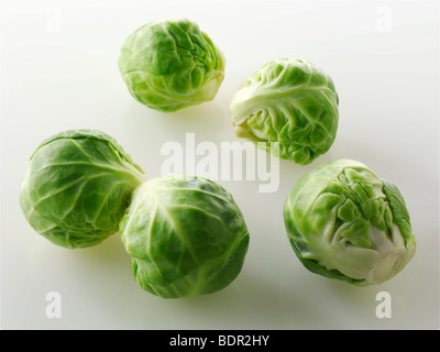 Choux de Bruxelles frais sur un fond blanc. Banque D'Images