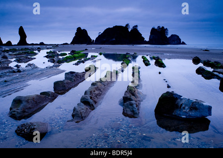 Rock formations au point d'Arches, Shi Shi Beach, Olympic National Park, Washington, USA Banque D'Images