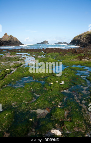 Plage à marée basse à Mear Porth, près de Cornwall, Cothan Porth Banque D'Images