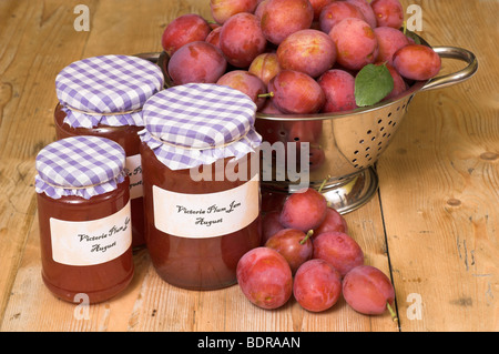 Faire de la confiture de prunes Victoria fraîchement recueillies montrant les fruits et confiture maison dans la cuisine de campagne, Août, Angleterre Banque D'Images