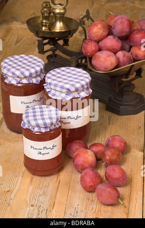 Faire de la confiture de prunes Victoria fraîchement recueillies montrant les fruits et confiture maison dans la cuisine de campagne, Août, Angleterre Banque D'Images