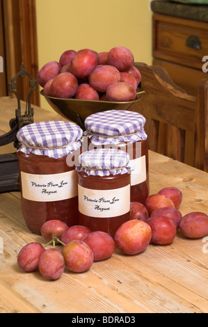 Faire de la confiture de prunes Victoria fraîchement recueillies montrant les fruits et confiture maison dans la cuisine de campagne, Août, Angleterre Banque D'Images