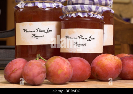 Faire de la confiture de prunes Victoria fraîchement recueillies montrant les fruits et confiture maison dans la cuisine de campagne, Août, Angleterre Banque D'Images