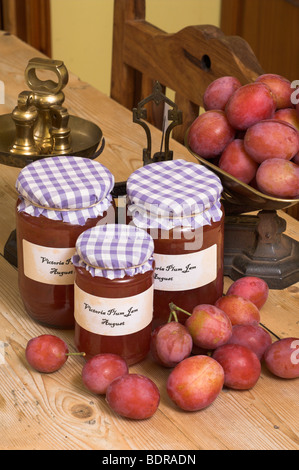 Faire de la confiture de prunes Victoria fraîchement recueillies montrant les fruits et confiture maison dans la cuisine de campagne, Août, Angleterre Banque D'Images