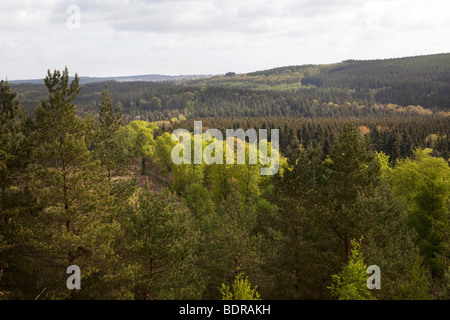 UK, Gloucestershire, forêt de Dean, nouvelle fantaisie Voir des vue sur la forêt de viewpoint Banque D'Images