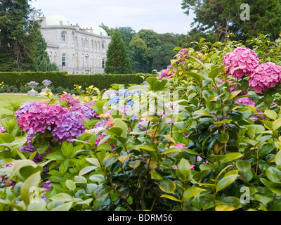 Maison et Jardins de Powerscourt Estate, près de Enniskerry, dans le comté de Wicklow, Irleand Banque D'Images