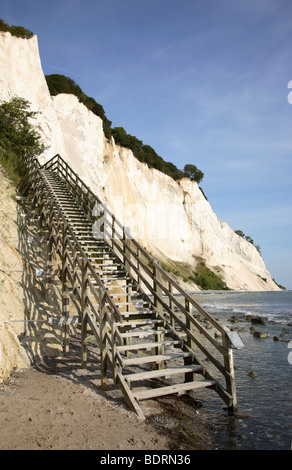 L'abrupte des falaises de craie, à Møn Møns Klint, Sealand, et la longue et raide escalier menant au sommet des falaises. Le Danemark. Banque D'Images