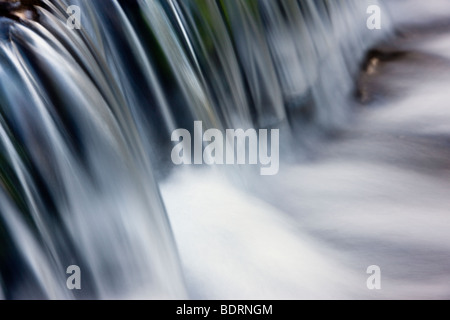 Flux de soyeux Fern Springs, Yosemite National Park, California, USA. Banque D'Images