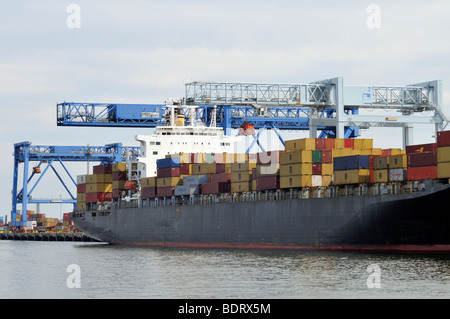 Conteneurs d'être déchargé au port dans le port de Boston au Terminal de South Boston Banque D'Images