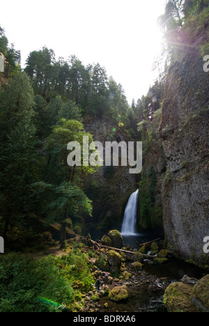 Wahclella Falls sur le côté de l'Oregon de la gorge du Columbia National Scenic Area. Banque D'Images