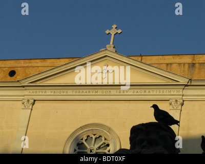 Pigeon sur fontaine dans la place Piazza Navona, Rome, Italie Banque D'Images
