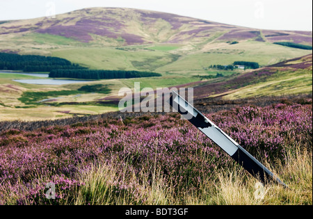 Le lammermuir hills. Scottish Borders. East Lothian. Banque D'Images