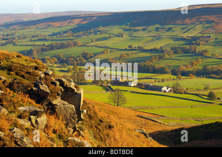 Danby Dale Farm, North Yorkshire Moors National Park, Angleterre. Banque D'Images