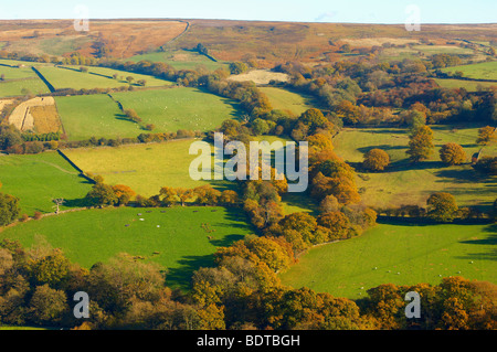 Farndale ferme avec les feuilles d'automne , North York Moors National Park, Angleterre. Banque D'Images