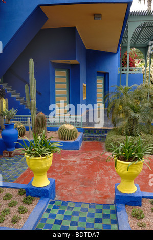 Multi-couleur jaune jardin marocain, jardinières, Blue House & Museum, Jardin Majorelle Jardin Majorelle Marrakech Maroc ou Banque D'Images