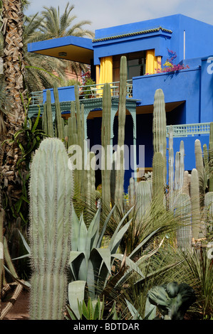 Blue House & Museum et Cactii Jardin au Jardin Majorelle ou jardin Majorelle Marrakech Maroc Banque D'Images