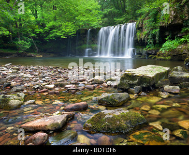 Ddwli Scwd Nedd Fechan cascade sur la rivière près de Ystradfellte, parc national de Brecon Beacons, Powys, Pays de Galles. En été (juin) 2009 Banque D'Images