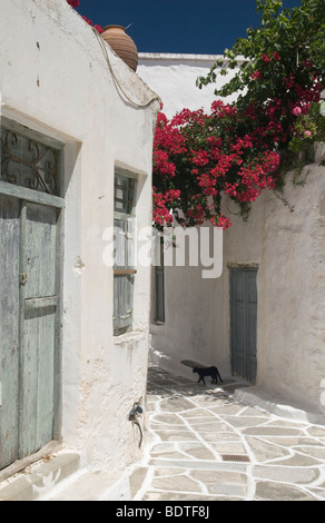 Dans le grec des bâtiments blanchis hill village de Lefkes, Paros, Grèce Banque D'Images